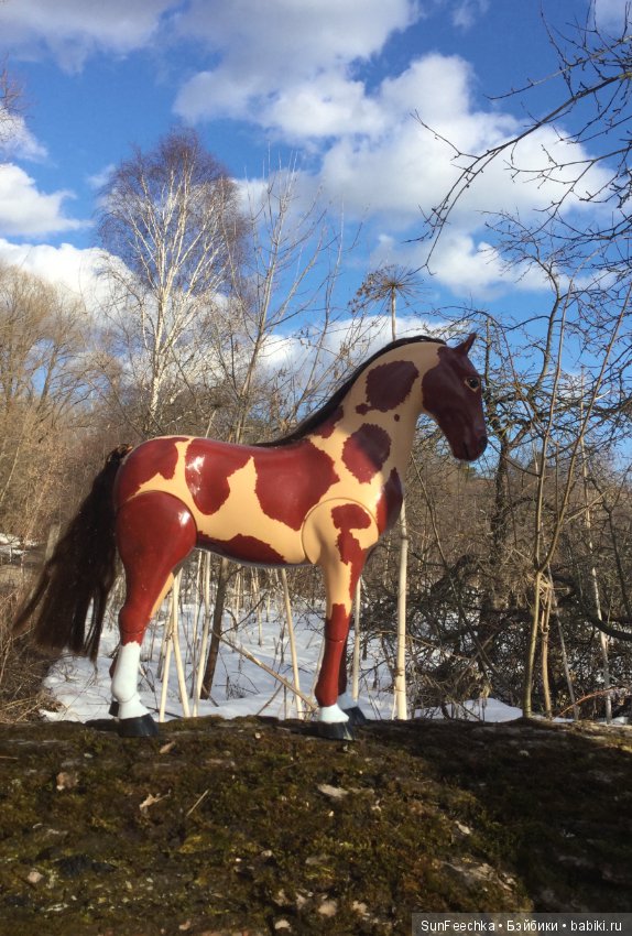 Продаю жеребца Техаса рыже-пегой масти (фото 8)