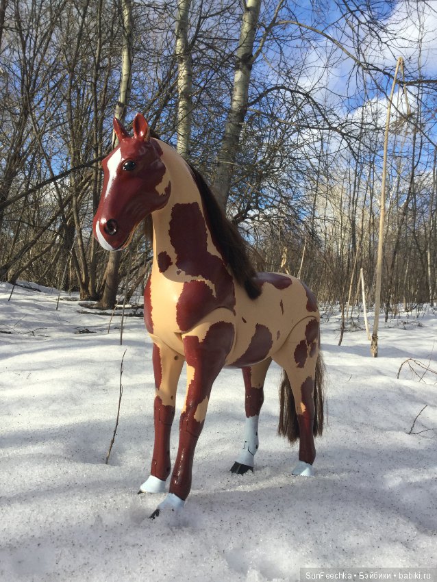 Продаю жеребца Техаса рыже-пегой масти (фото 2)