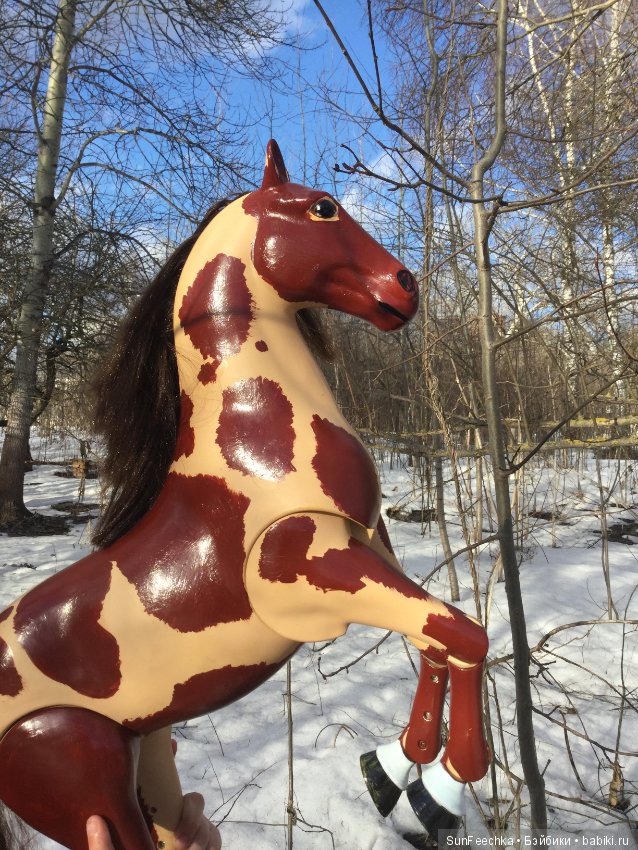 Продаю жеребца Техаса рыже-пегой масти (фото 7)