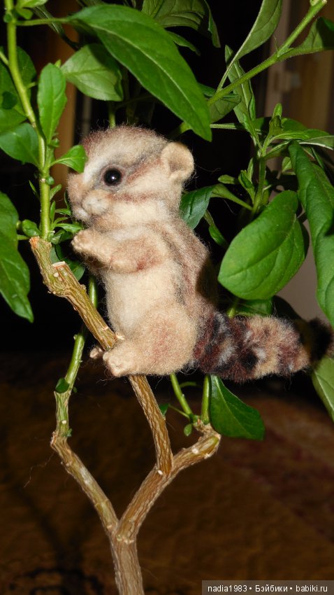 Бурундучок ищет новый дом (фото 2)