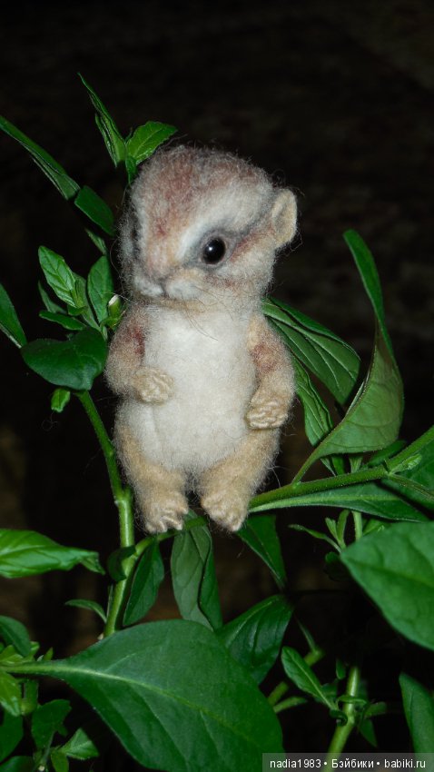 Бурундучок ищет новый дом (фото 3)