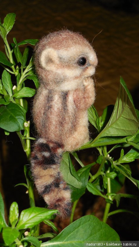 Бурундучок ищет новый дом (фото 5)