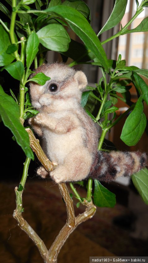 Бурундучок ищет новый дом (фото 6)