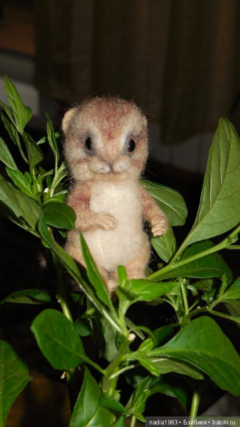 Бурундучок ищет новый дом