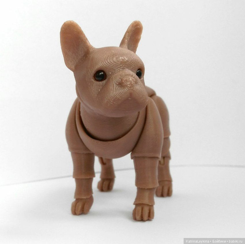 Бульдог BJD — Куклы BJD (фото 5)