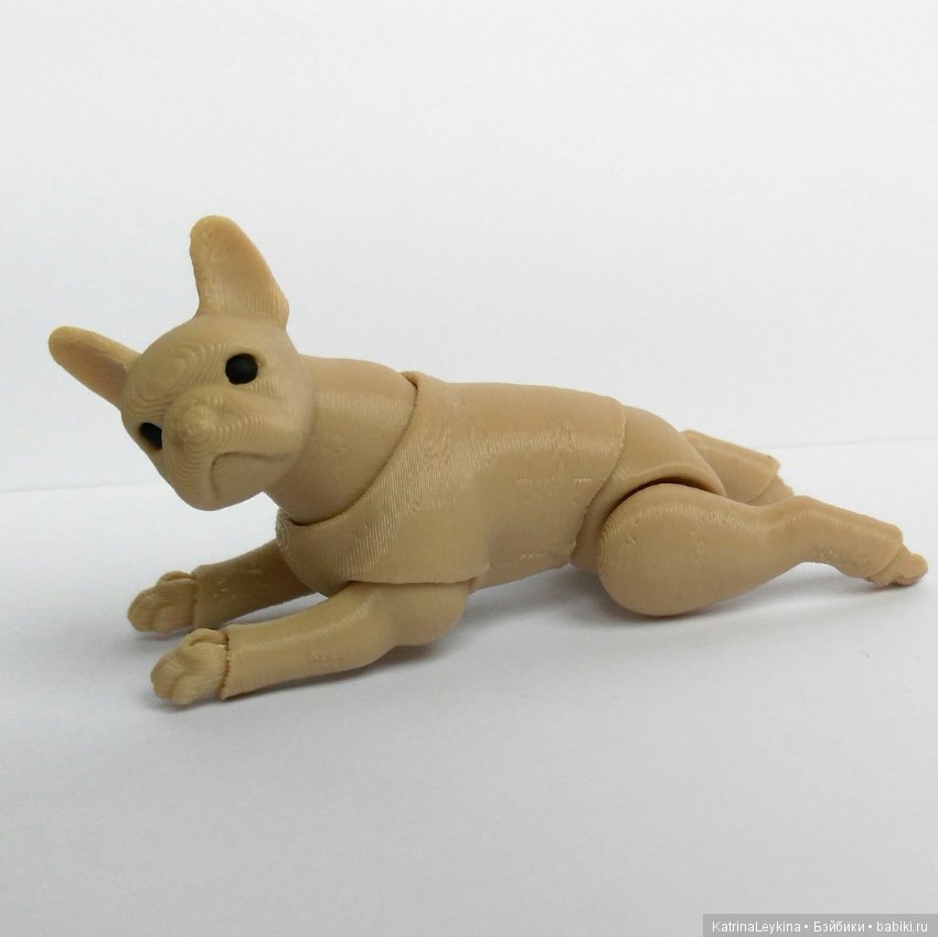 Маленький бульдог BJD — Куклы BJD (фото 5)