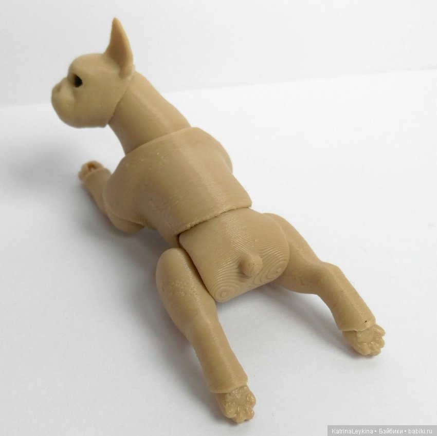 Маленький бульдог BJD — Куклы BJD (фото 6)