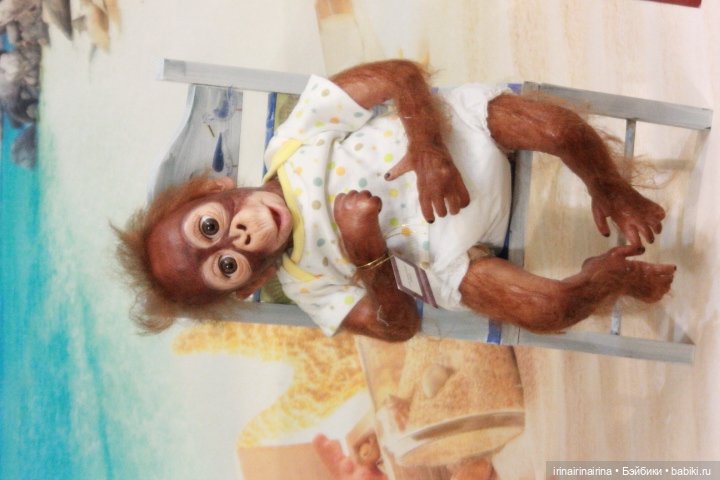 Маленький орангутанг (326.4) (фото 3)