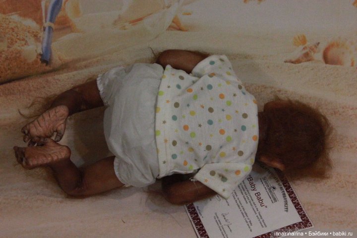 Маленький орангутанг (326.4) (фото 8)