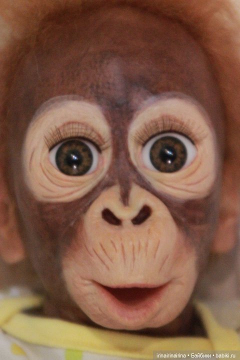 Маленький орангутанг (326.4) (фото 2)