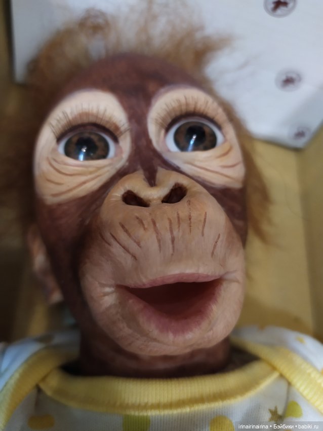 Маленький орангутанг (326.4) (фото 5)