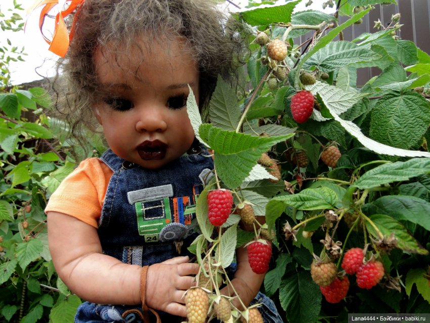 Ее зовут Лимбо Срочная продажа (фото 5)