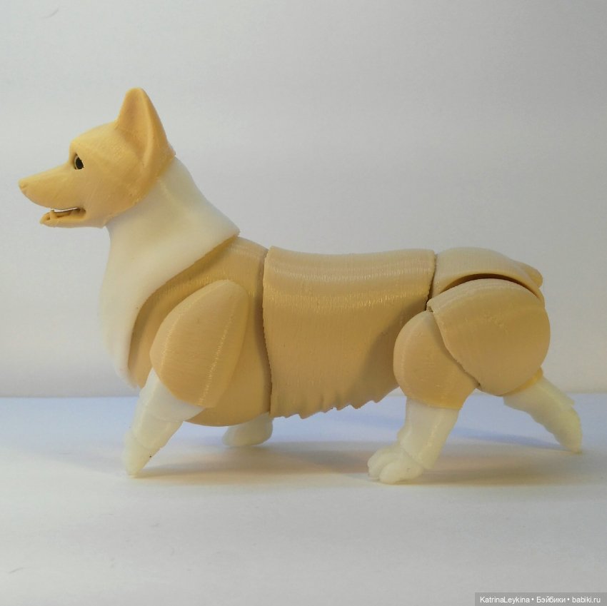 Корги BJD — Куклы BJD