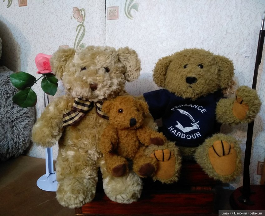 Три медведя Тедди одним лотом:)