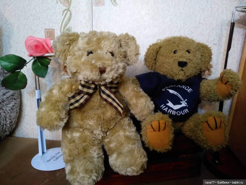 Три медведя Тедди одним лотом:) (фото 3)