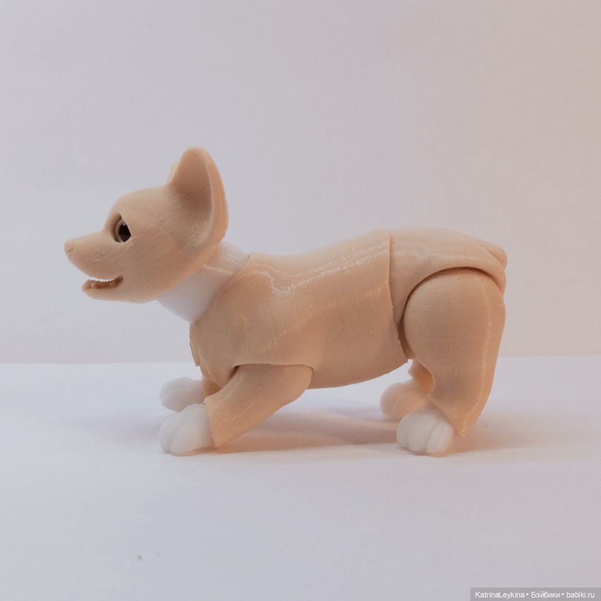 Щенок корги BJD — Куклы BJD (фото 4)