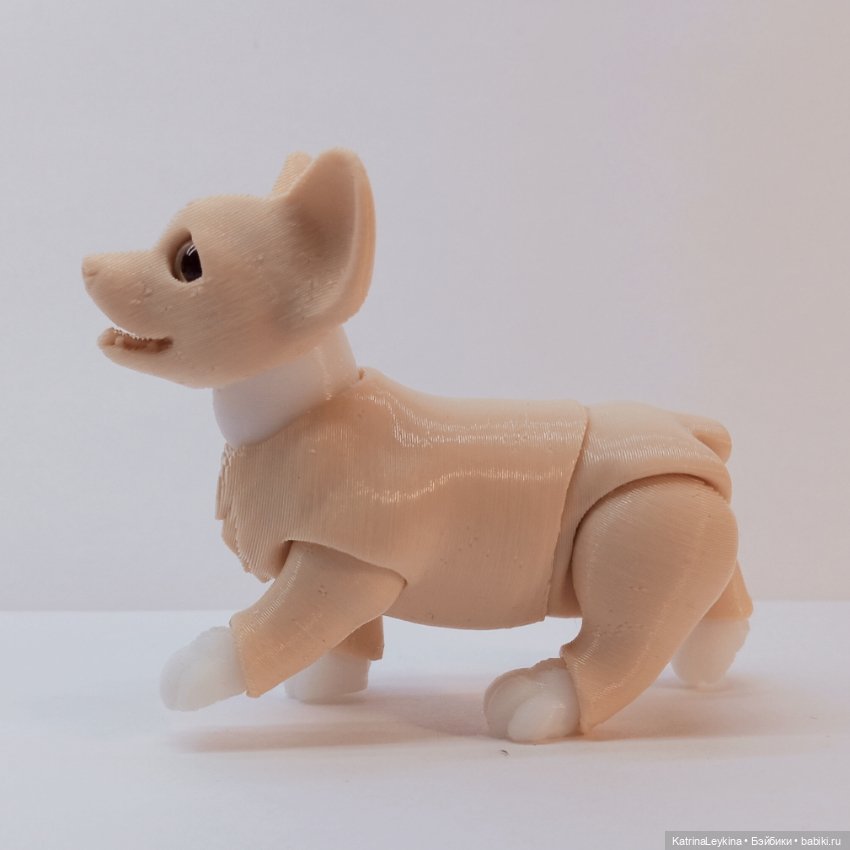 Щенок корги BJD — Куклы BJD (фото 6)