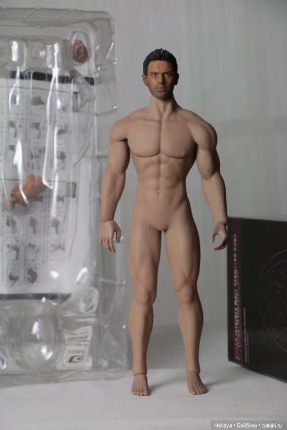 Phicen — Шарнирные куклы (не BJD) (фото 2)