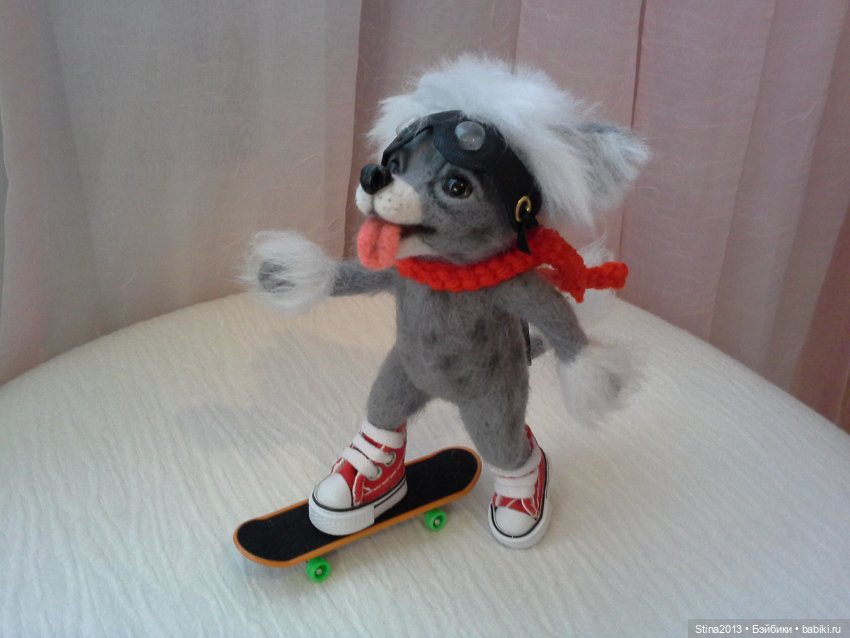 Китайская хохлатая - скейтбордист (фото 7)