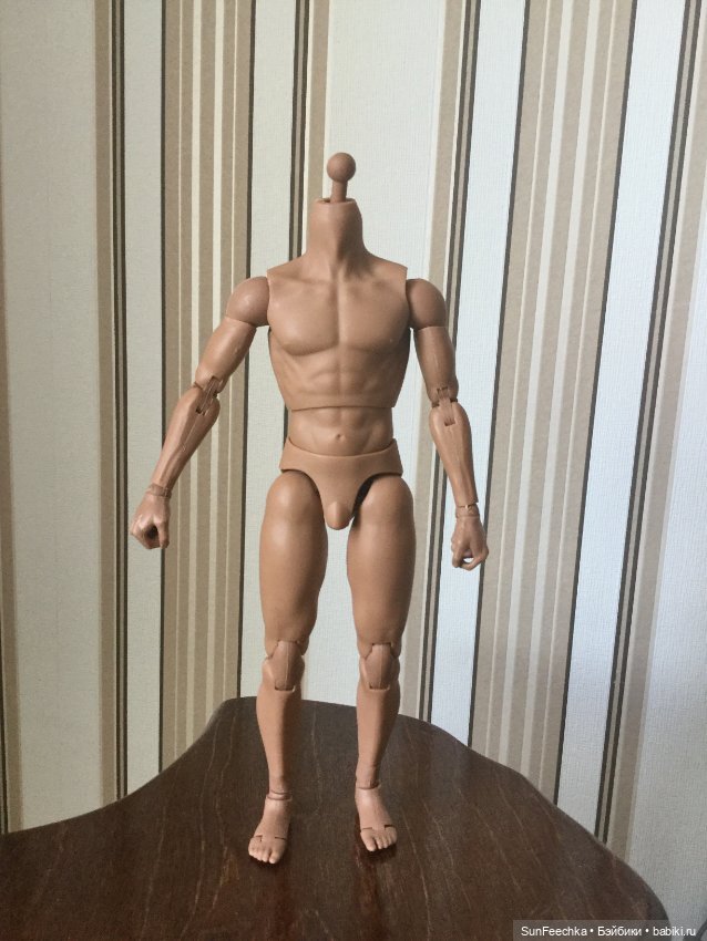 Мужское тело 1/6 для гибридизации