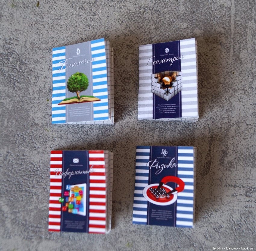 Тетради серия "полоска" в масштабе 1:6 (фото 5)