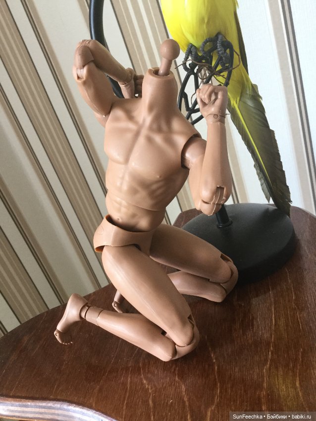 Мужское тело 1/6 для гибридизации (фото 4)