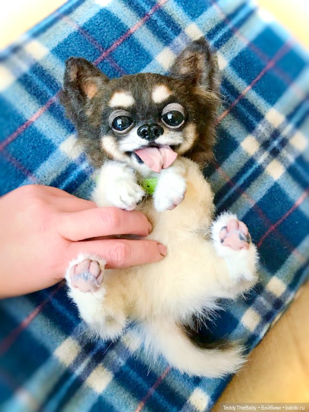 Dezzie — Авторские игрушки (фото 3)