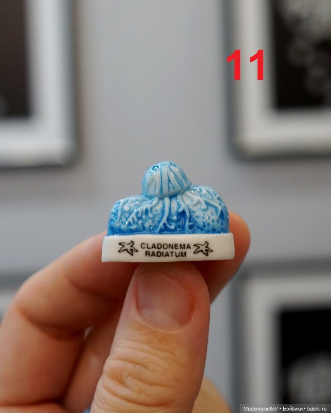 Обитатели кораллового рифа, часть 1 (фото 10)