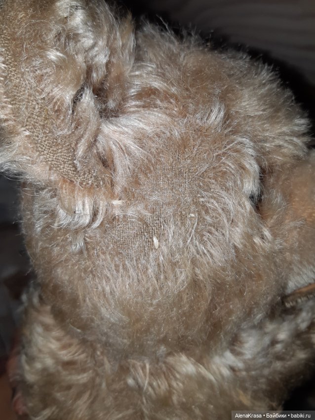 Мишка Steiff — Винтажные куклы и игрушки детства