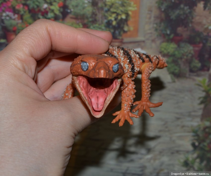 1/1 Нефрурс (Nephrurus) или Шишкохвостый геккон №1