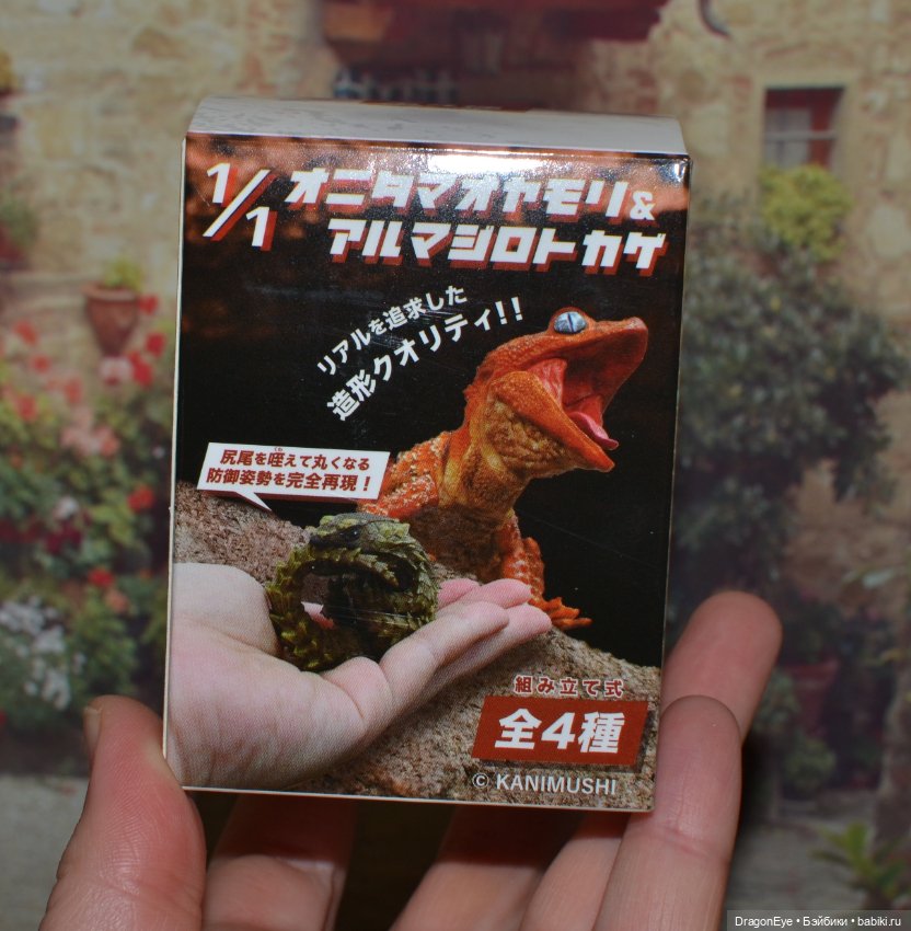 1/1 Нефрурс (Nephrurus) или Шишкохвостый геккон №1 (фото 2)