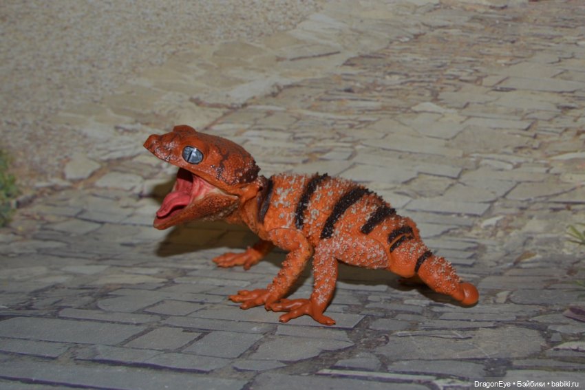 1/1 Нефрурс (Nephrurus) или Шишкохвостый геккон №1 (фото 8)