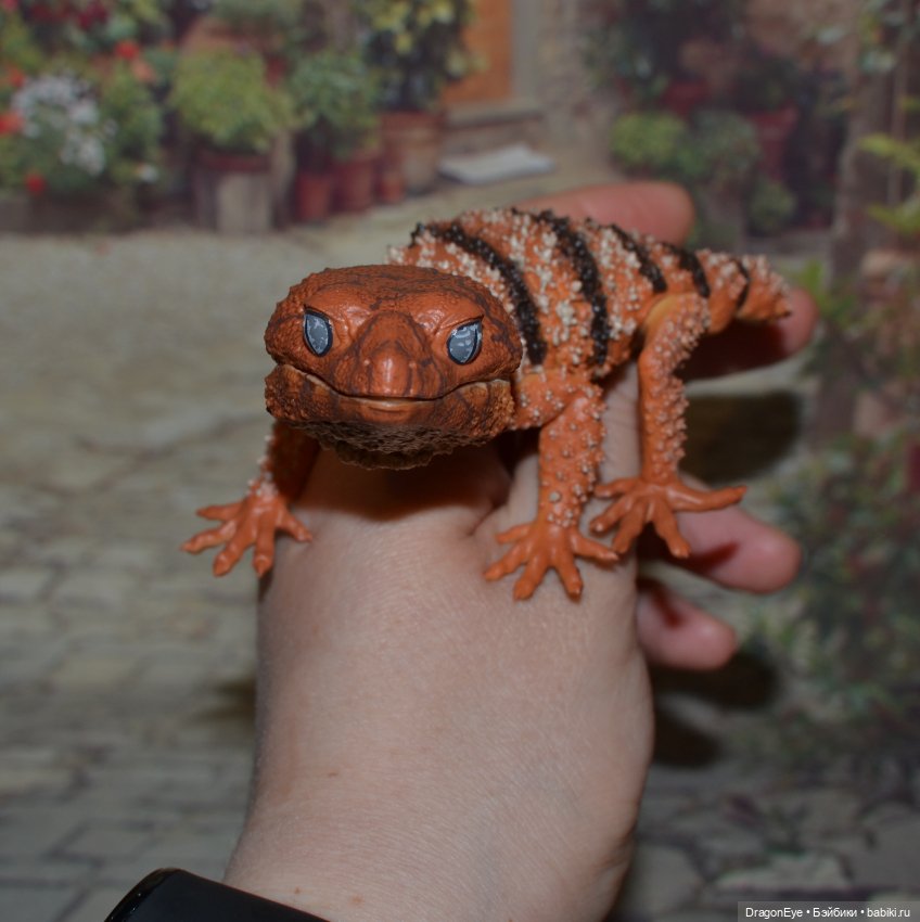 1/1 Нефрурс (Nephrurus) или Шишкохвостый геккон №1