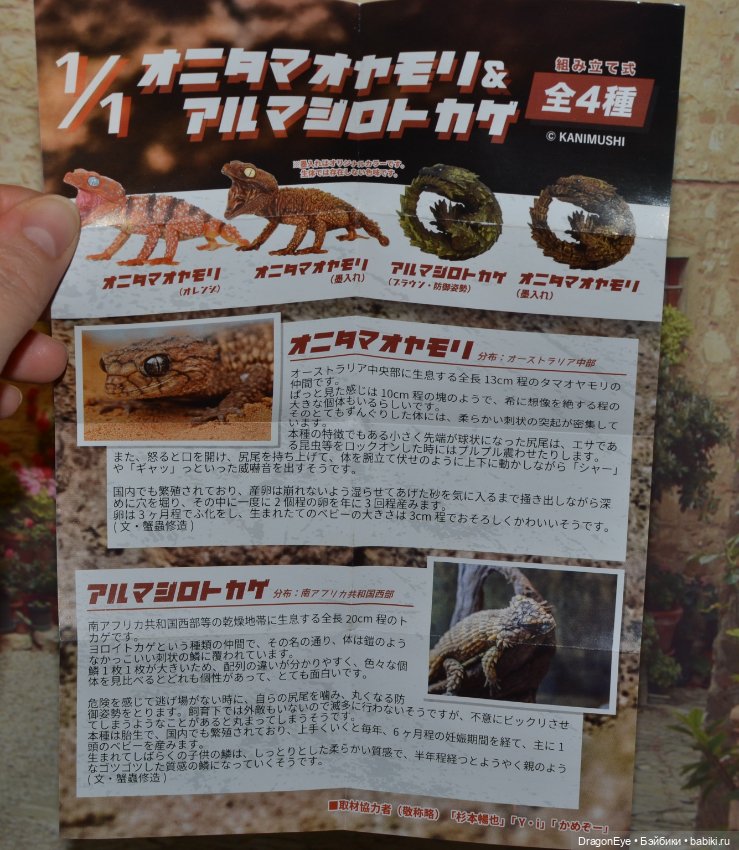 1/1 Ящерица-броненосец — Коллекционные фигурки (фото 4)