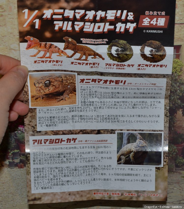 1/1 Ящерица-броненосец — Коллекционные фигурки (фото 6)