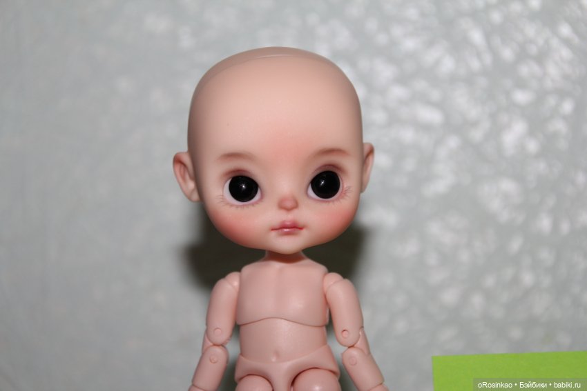 Продам крошка Baaguashe watermelon (фото 2)