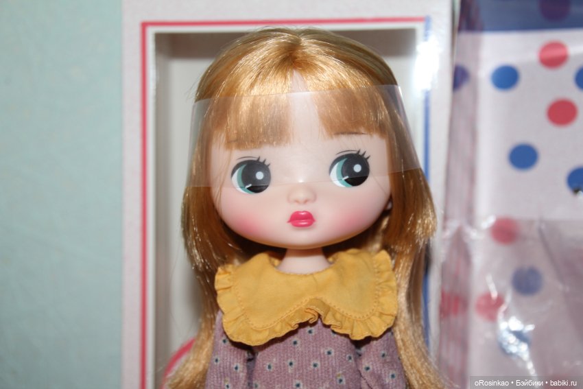 Продам малышку ChoChodoll normal (фото 3)