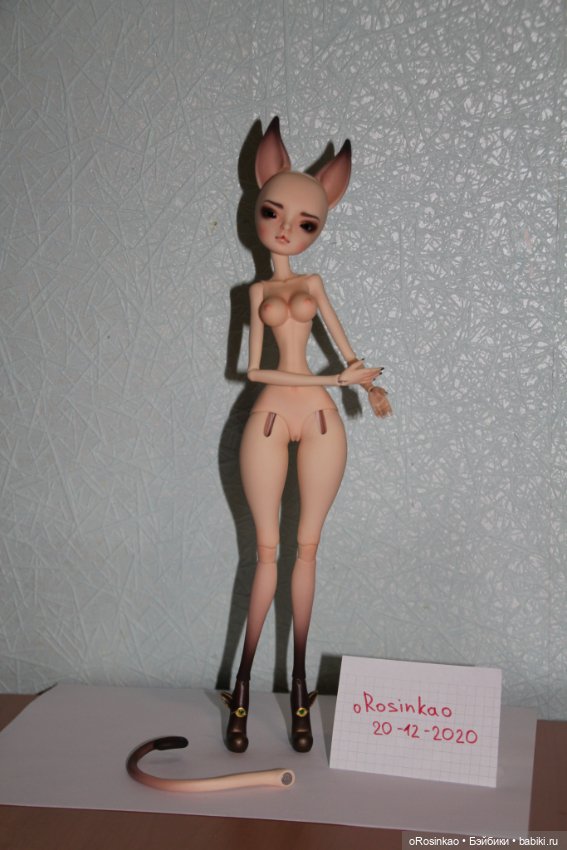 Продам кошку DollChateau Liz normal pink