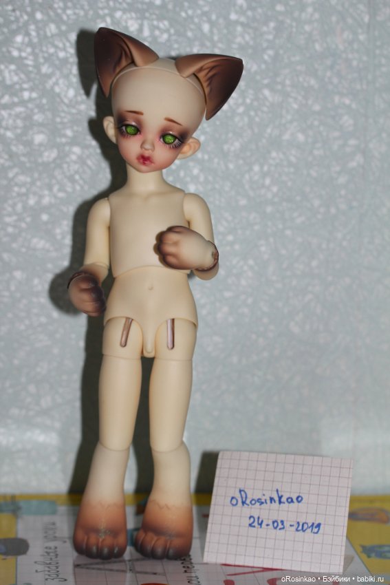 Продам котенка Smokey с частями Appini (фото 2)