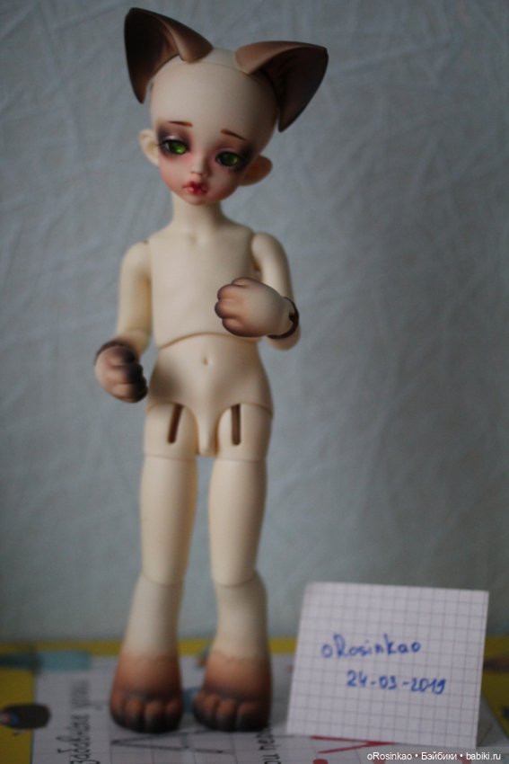 Продам котенка Smokey с частями Appini