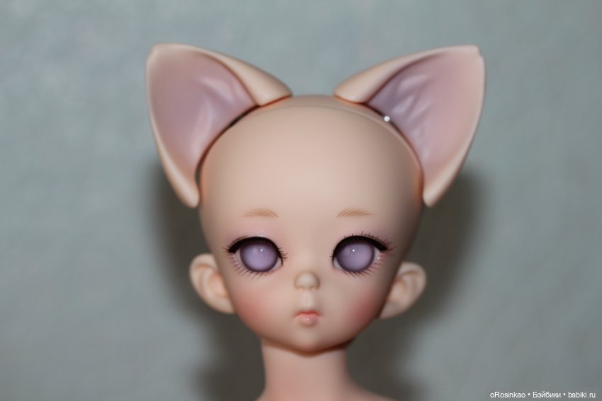 Продам котика Soom FCh Appini Normal (фото 3)