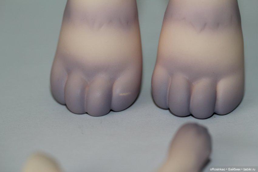 Продам котика Soom FCh Appini Normal (фото 2)