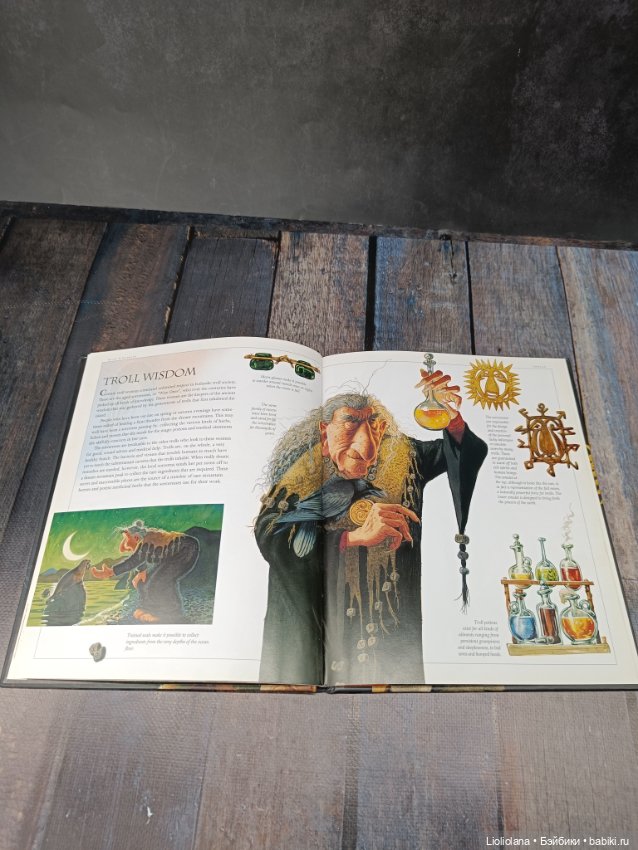 Книга "Тролли Исландии". 2011 год (фото 8)
