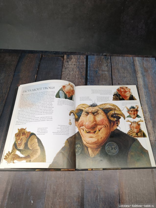 Книга "Тролли Исландии". 2011 год (фото 7)