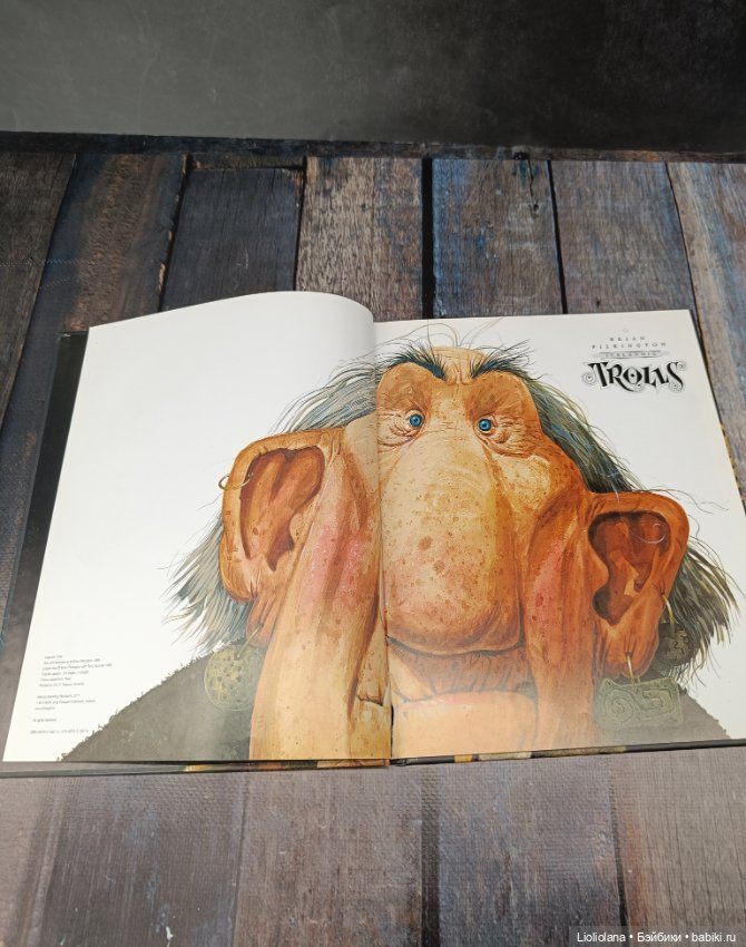Книга "Тролли Исландии". 2011 год (фото 4)