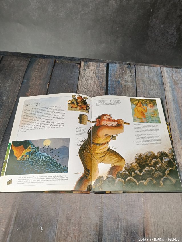 Книга "Тролли Исландии". 2011 год (фото 9)