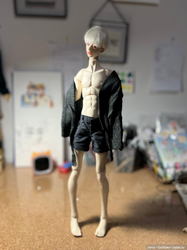 Куклы BJD (фото 5)