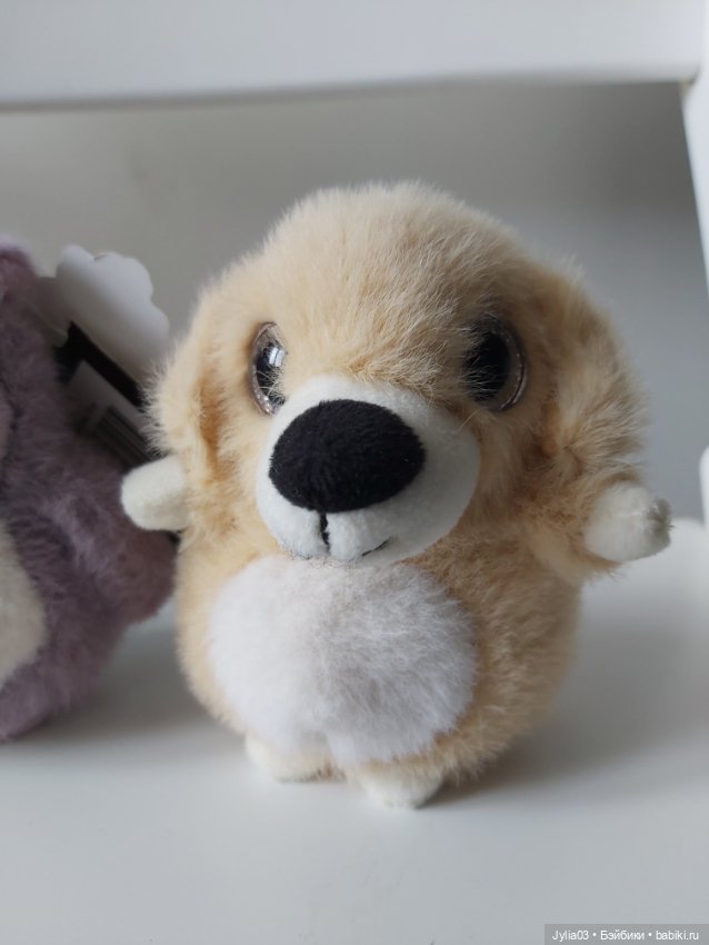 Замечательные малыши ищут дом (фото 4)