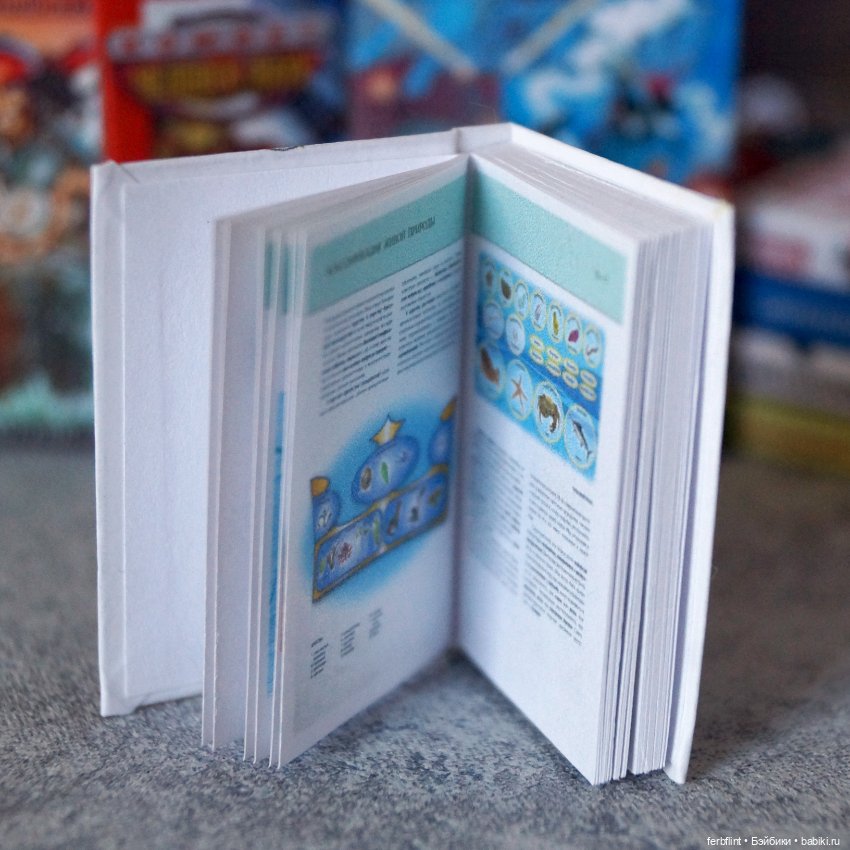 Набор для мальчика в масштабе 1:6 (фото 6)