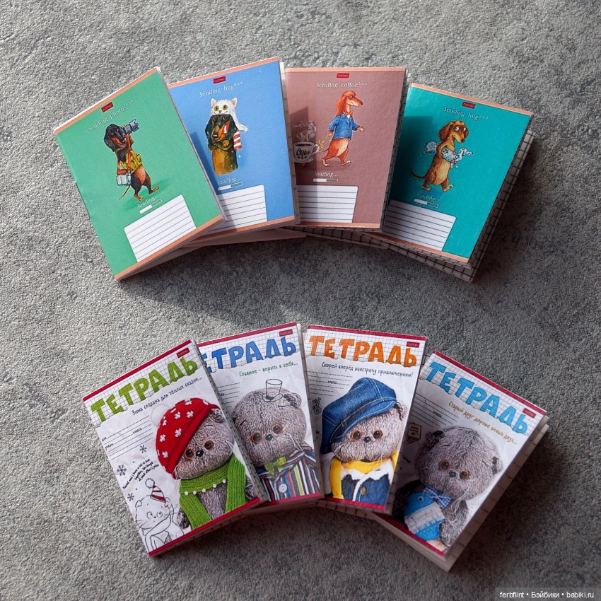 Наборы тетрадей в масштабе 1:6